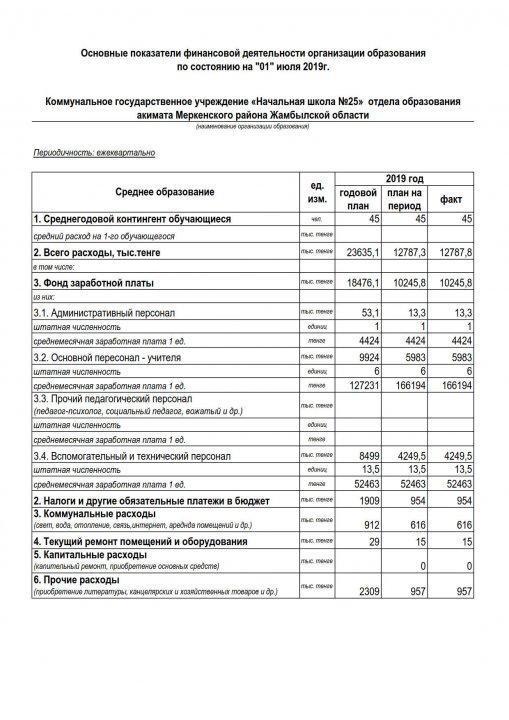 Основные показатели финансовой деятельности организации  по состоянию на "1"июля 2019г.